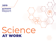 2019 Activity Report: Science at Work 