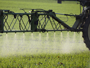 Une nouvelle fiche synthèse pour connaître les effets potentiels des pesticides agricoles 
