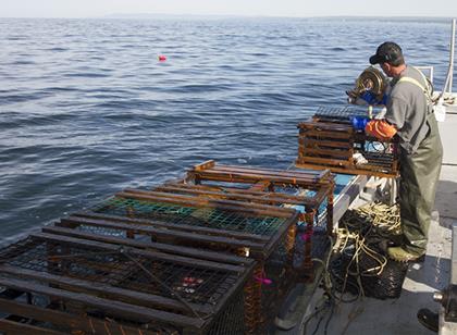 Pêche au homard – Des ressources pour travailler en sécurité