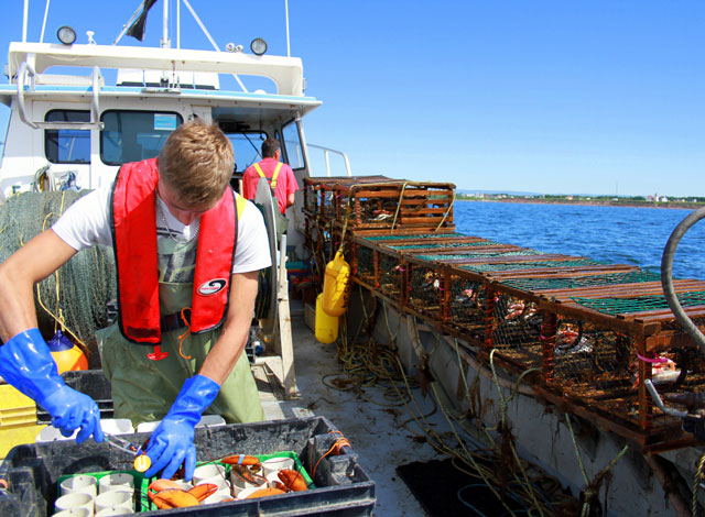 Pêche au homard – Pour travailler en sécurité