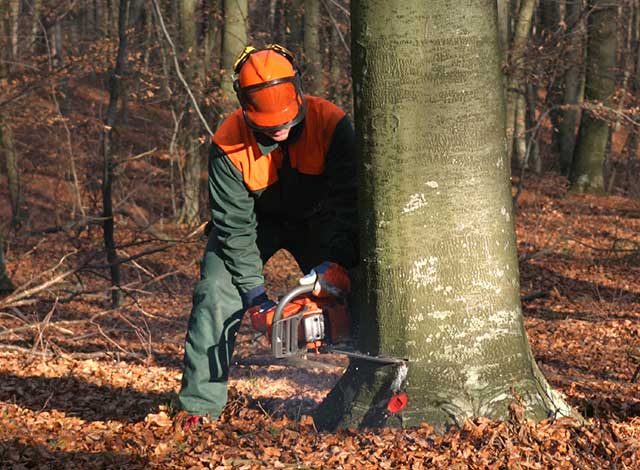 Les industries et les professions les plus à risque de lésions professionnelles