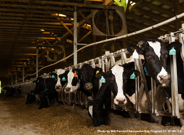 Un nouveau test sur la qualité de l’air  contaminé par des bioaérosols